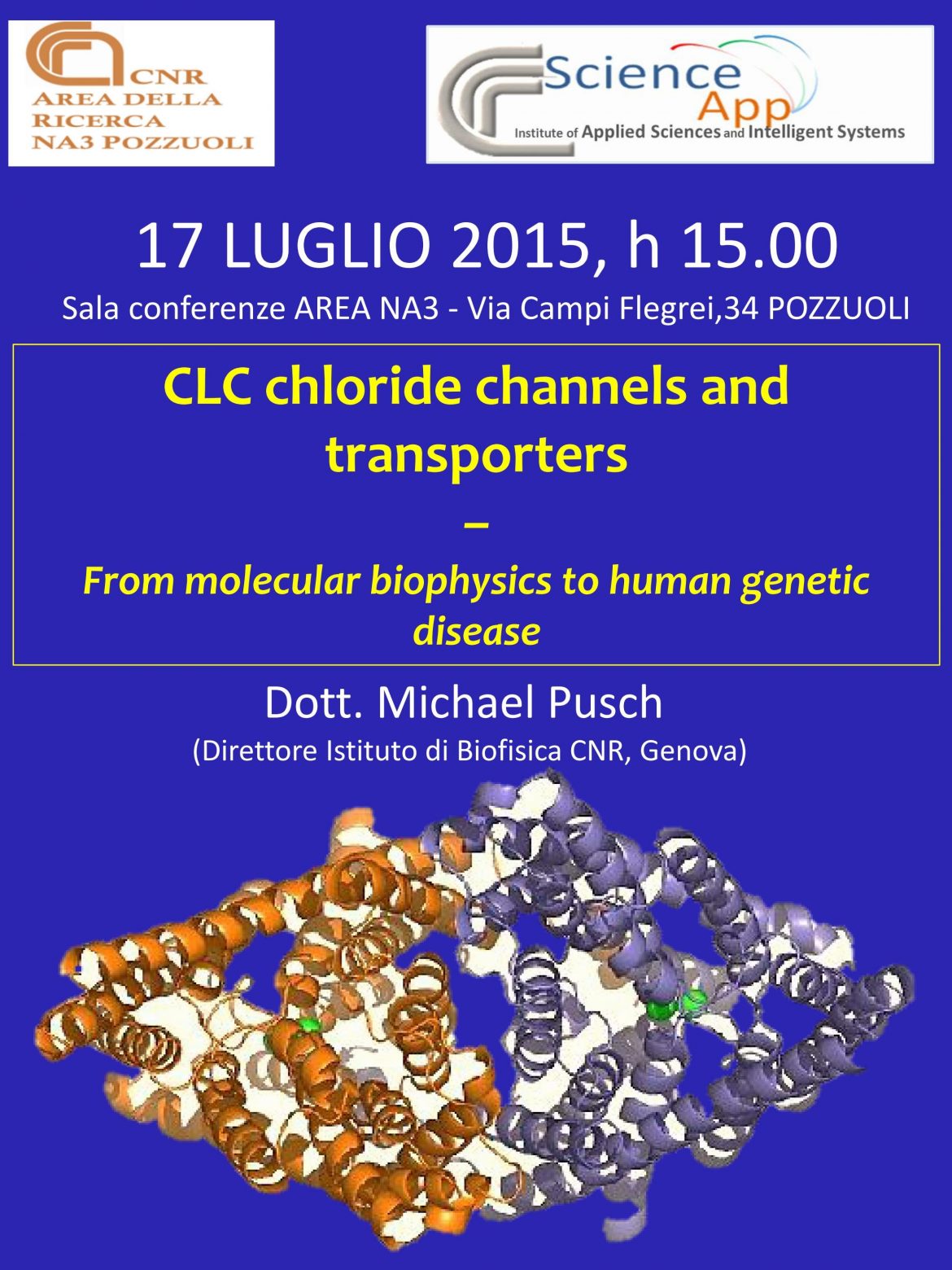 CLC chloride channels and transporters