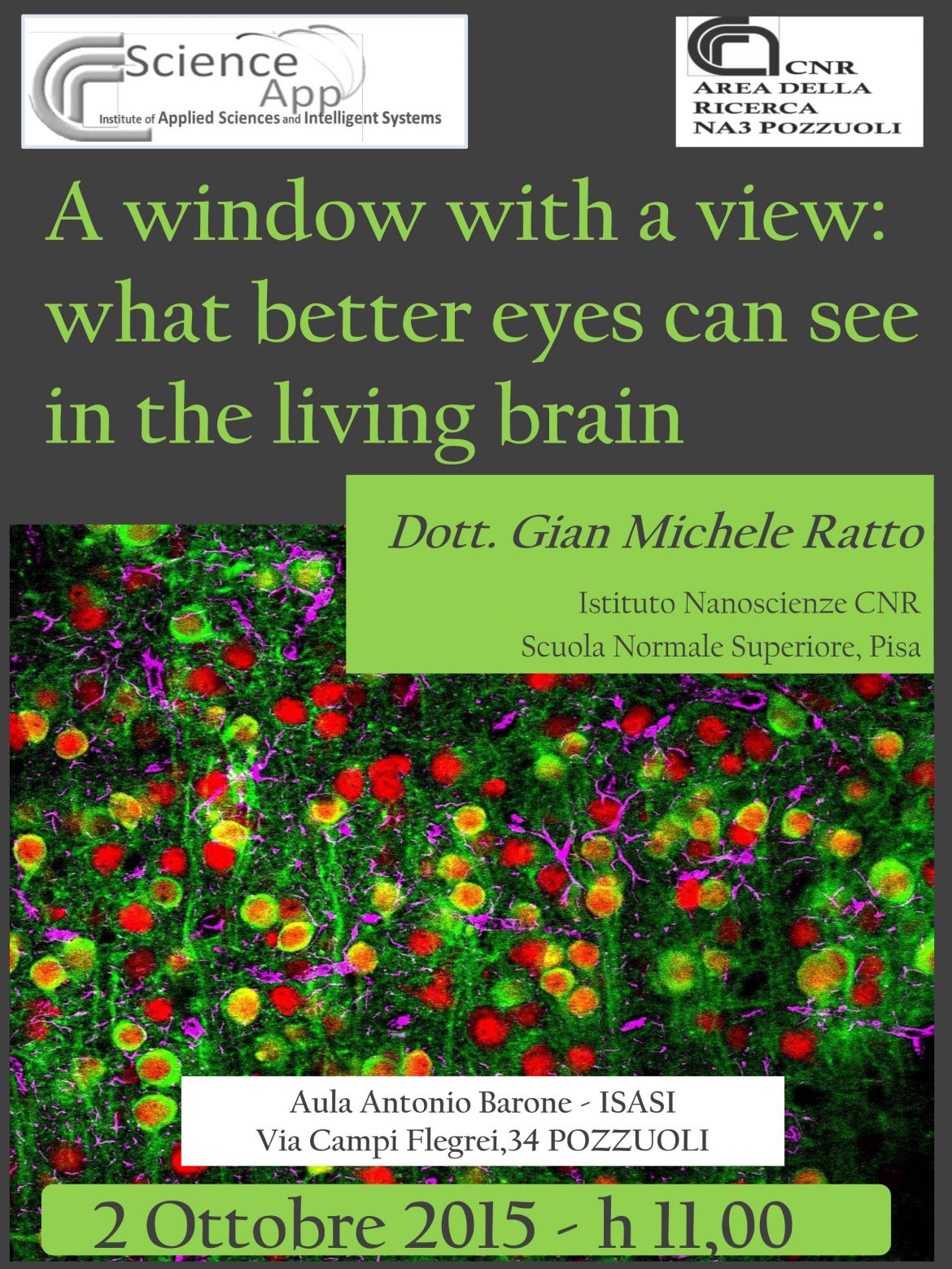 A Window with a view: what better eyes can see in the living brain