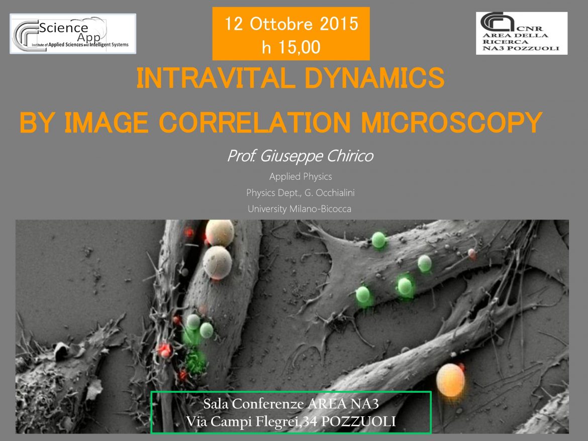 Intravital Dynamics by Image Correlation Microscopy