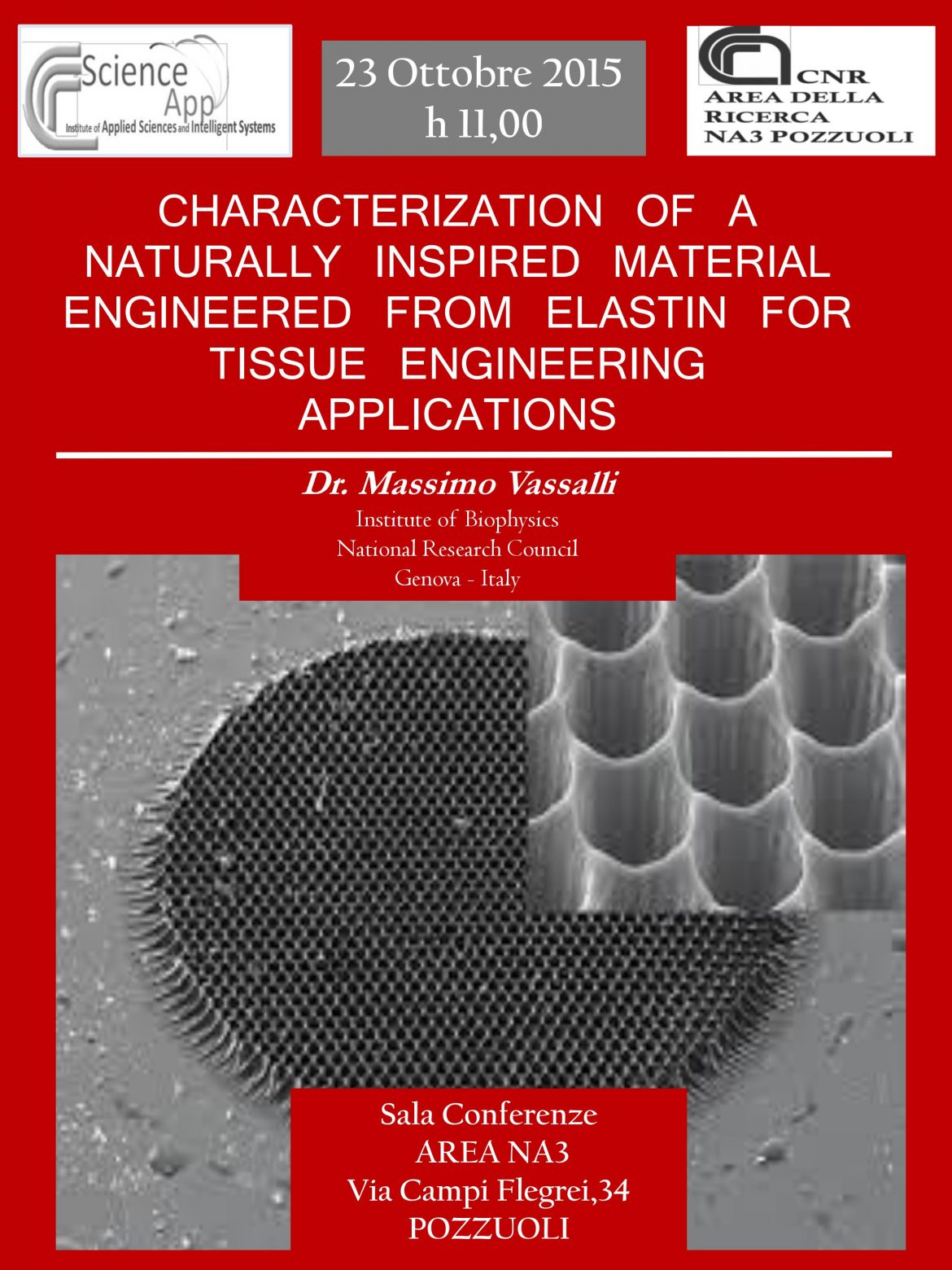 Characterization of a Naturally inspired Material Engineered from Elastin for Tissue Engineering Appliocations