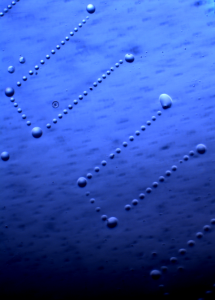 MICRODOTS_2