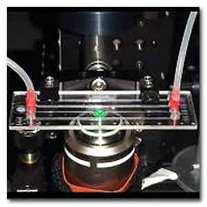 Dal CNR la cito-tomografia in flusso identifica sia cellule tumorali circolanti nel sangue che potenziali contaminanti delle acque