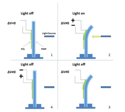 16 Gennaio 2020 – Photo-Piezo-ActUators based on Light SEnsitive COMposite