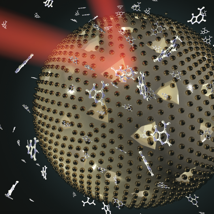 Nanoparticelle ibride per la biomedicina