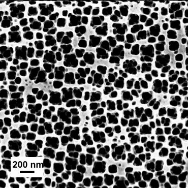 Nanostructured functional surfaces for biochemical sensing