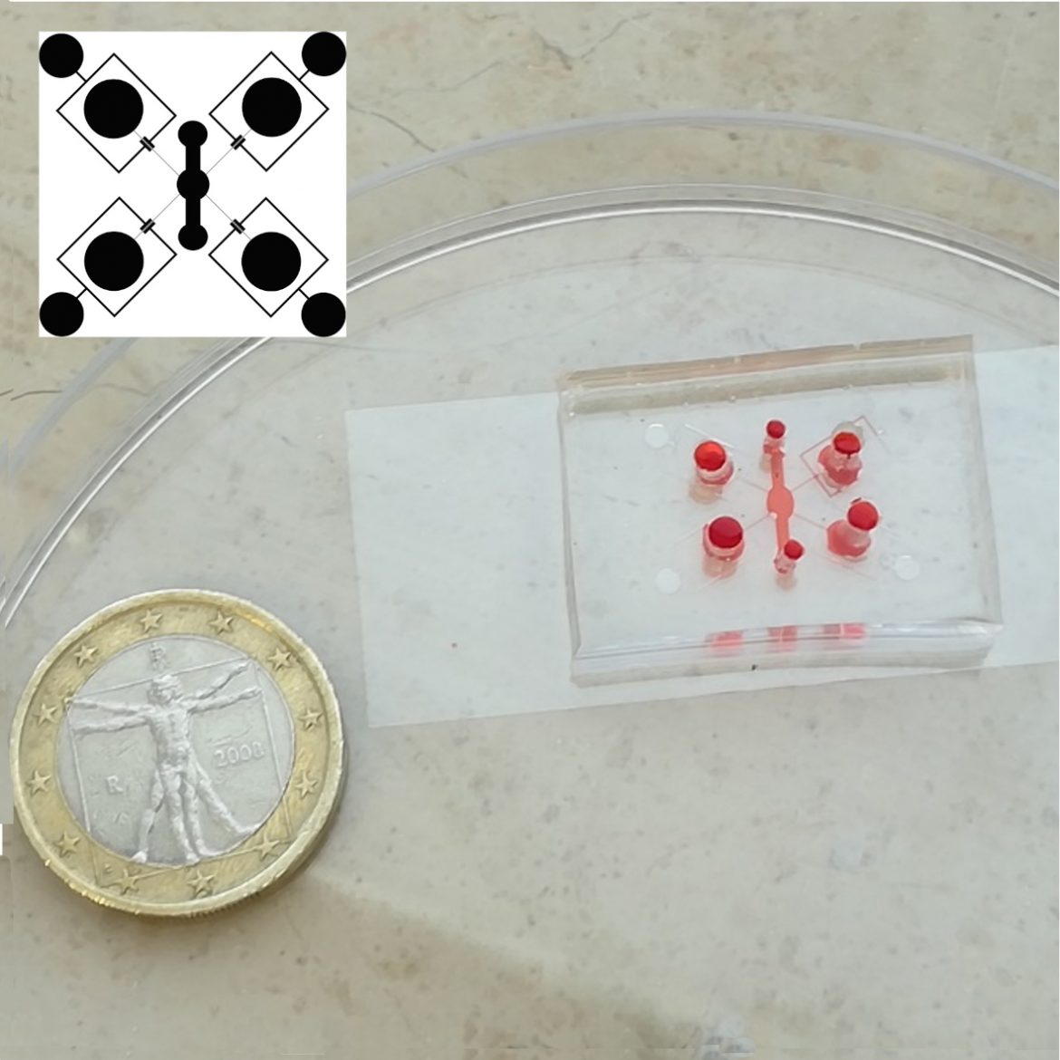 Piattaforme microfluidiche per applicazioni di monitoraggio: progettazione e fabbricazione