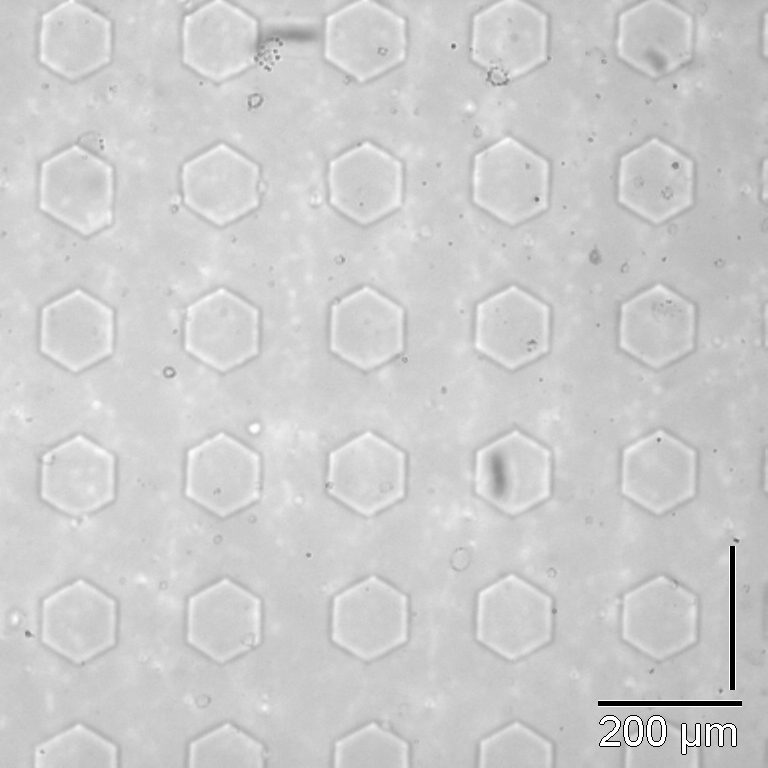 Microlenti liquide tunabili optofluidiche