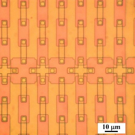 Quantum networks with engineered topology