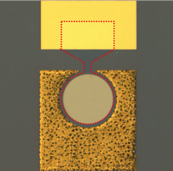 Fototrivelatori a cavità risonante basati su giunzioni graphene/silicio per applicazioni di telecomunicazione e datacom