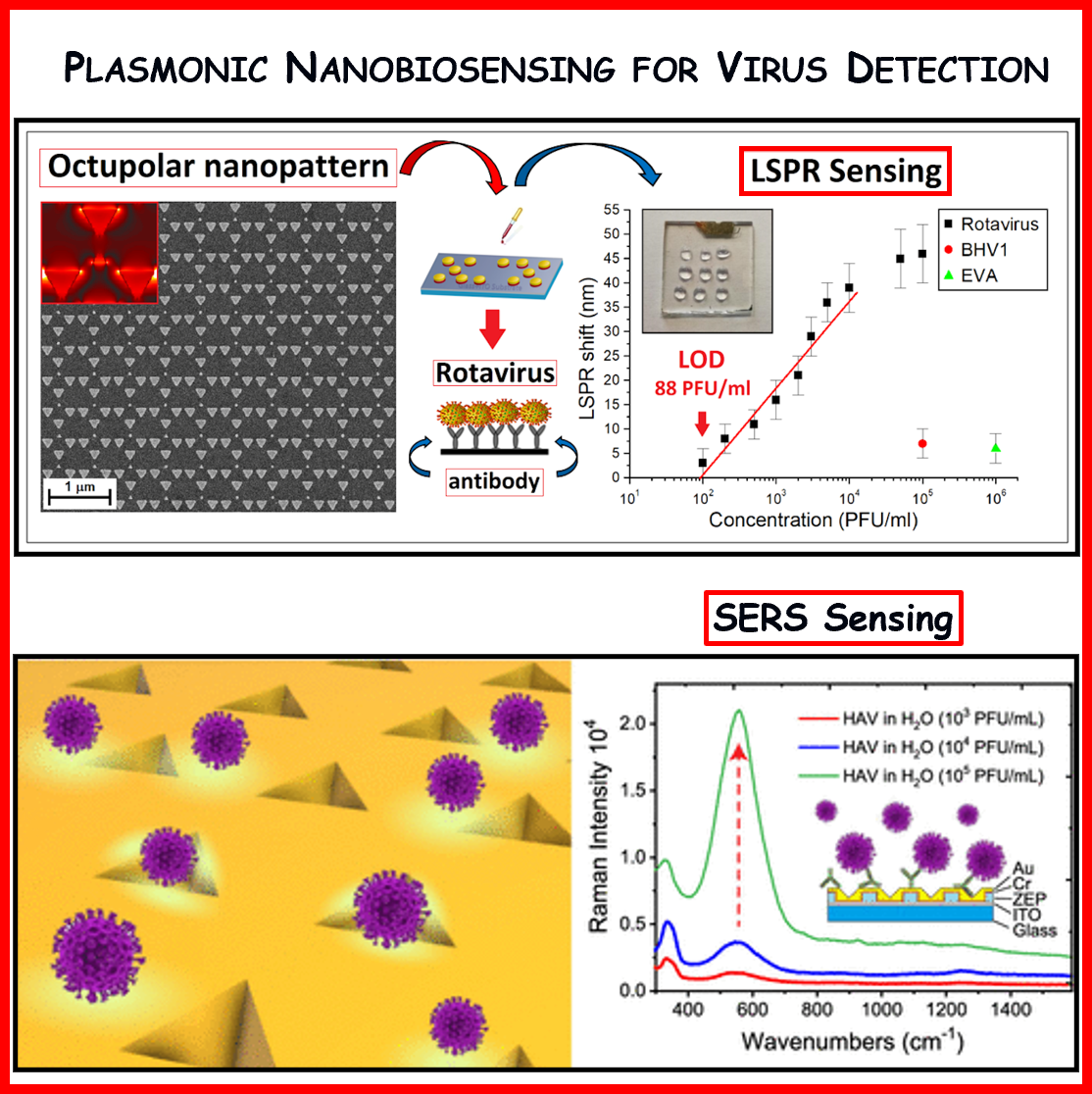 Nanobiosensori plasmonici ingegnerizzati per la diagnostica medica, il monitoraggio ambientale e la sicurezza alimentare