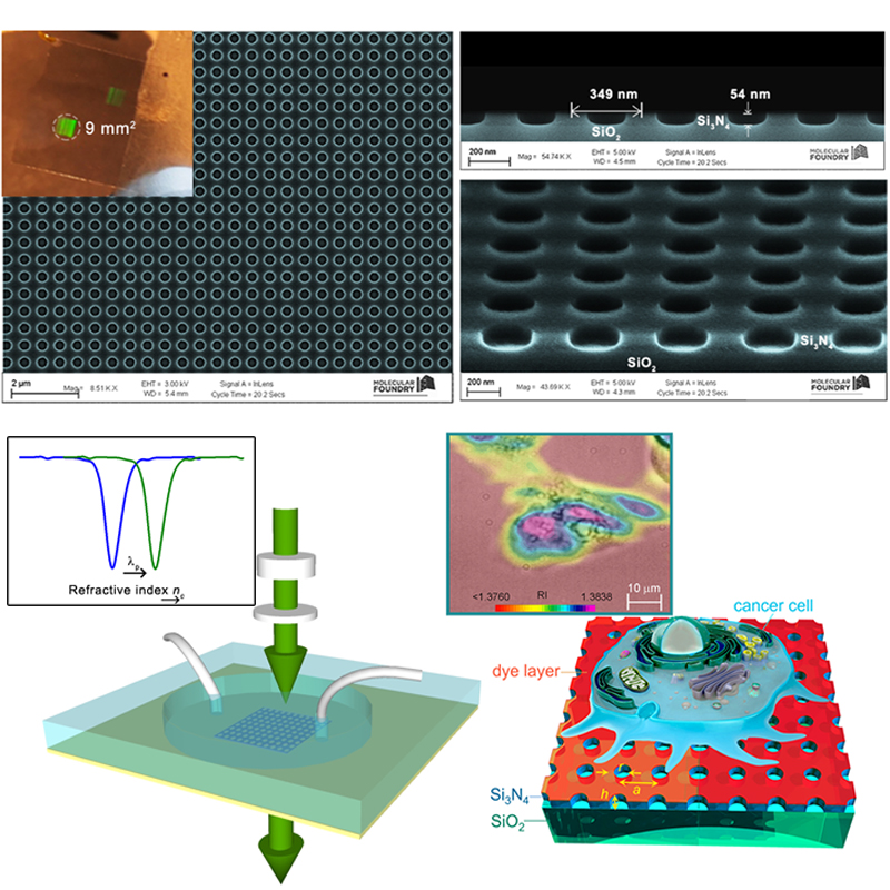 Dielectric sensing platform and nanoscopy for biology and health