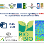 BIOeBIO