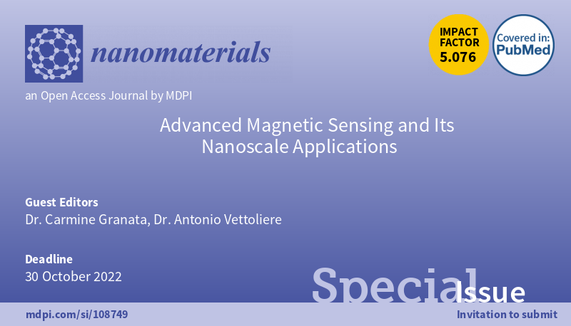 Numero speciale sulla rivista Nanomaterials