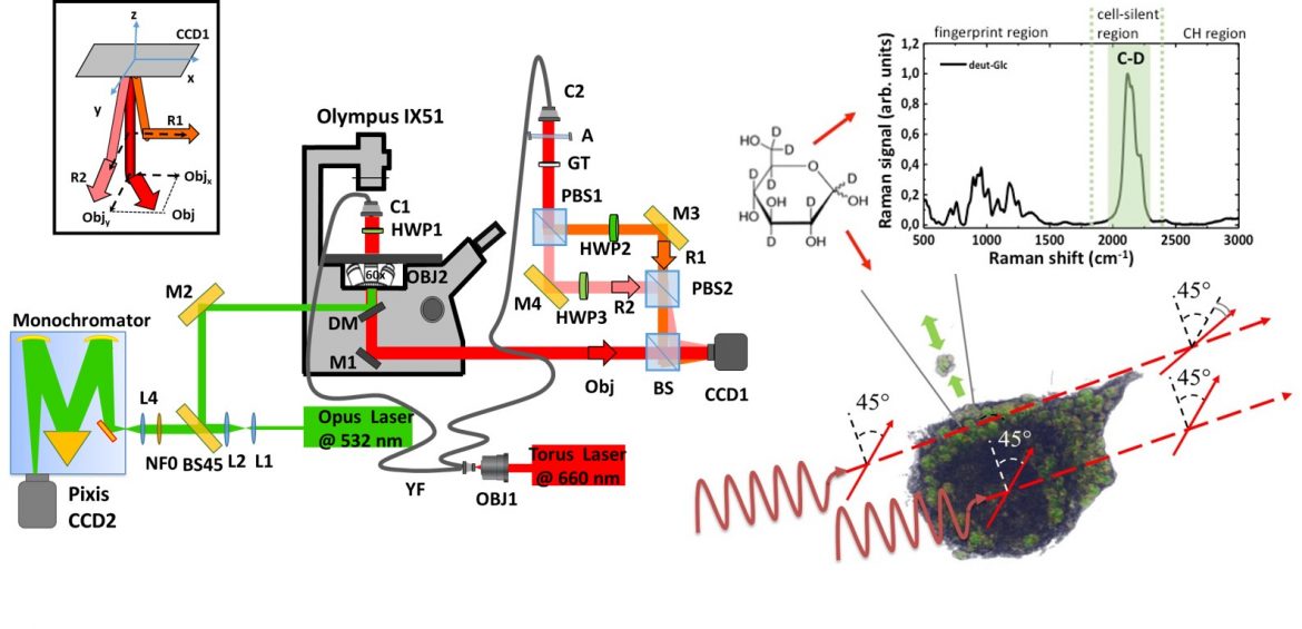 A light beam to detect cancer cells in the blood